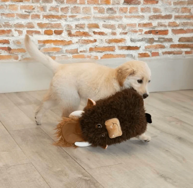 KONG COMFORT JUMBO HIGHLAND COW